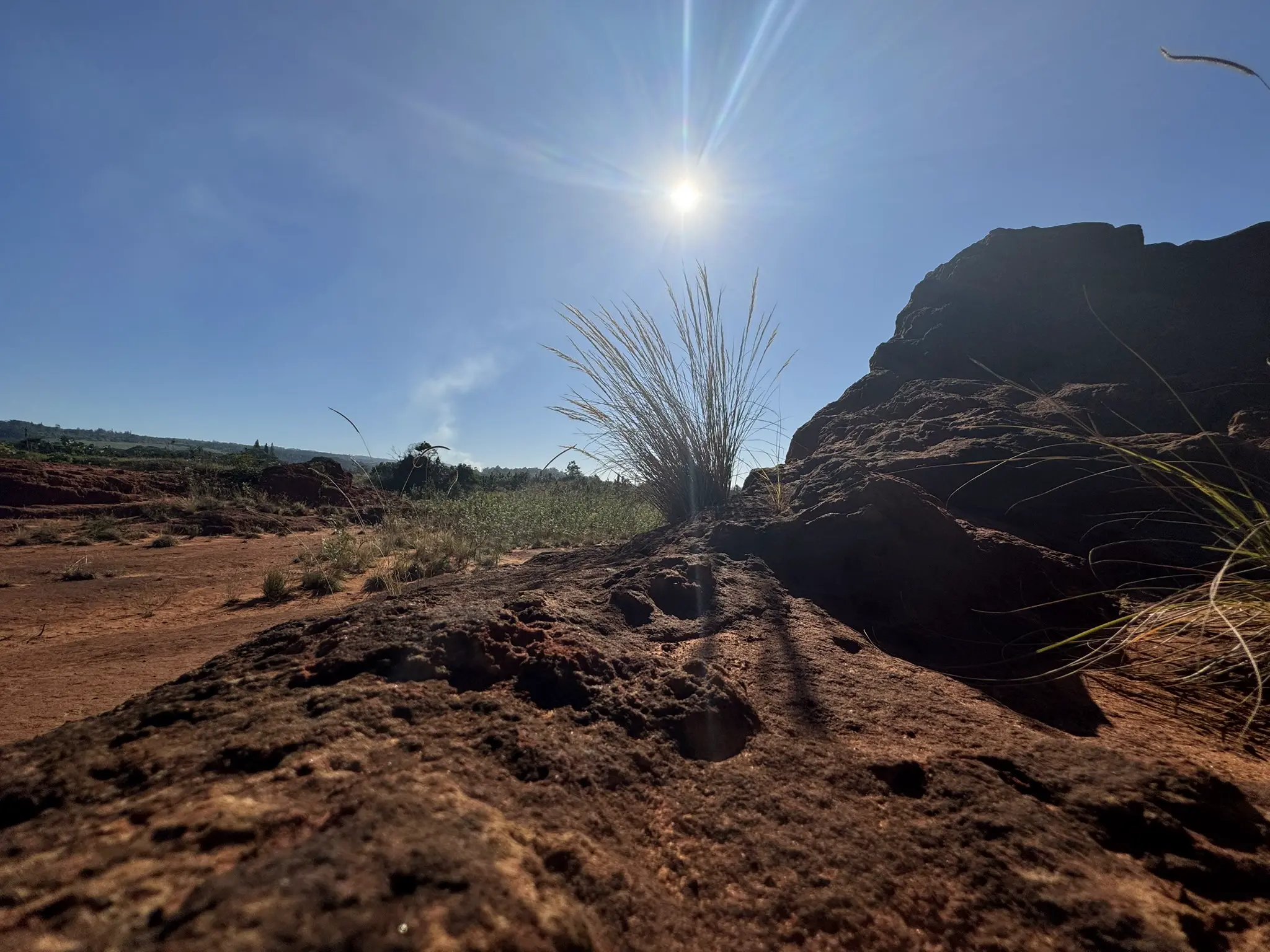 Red Desert 1