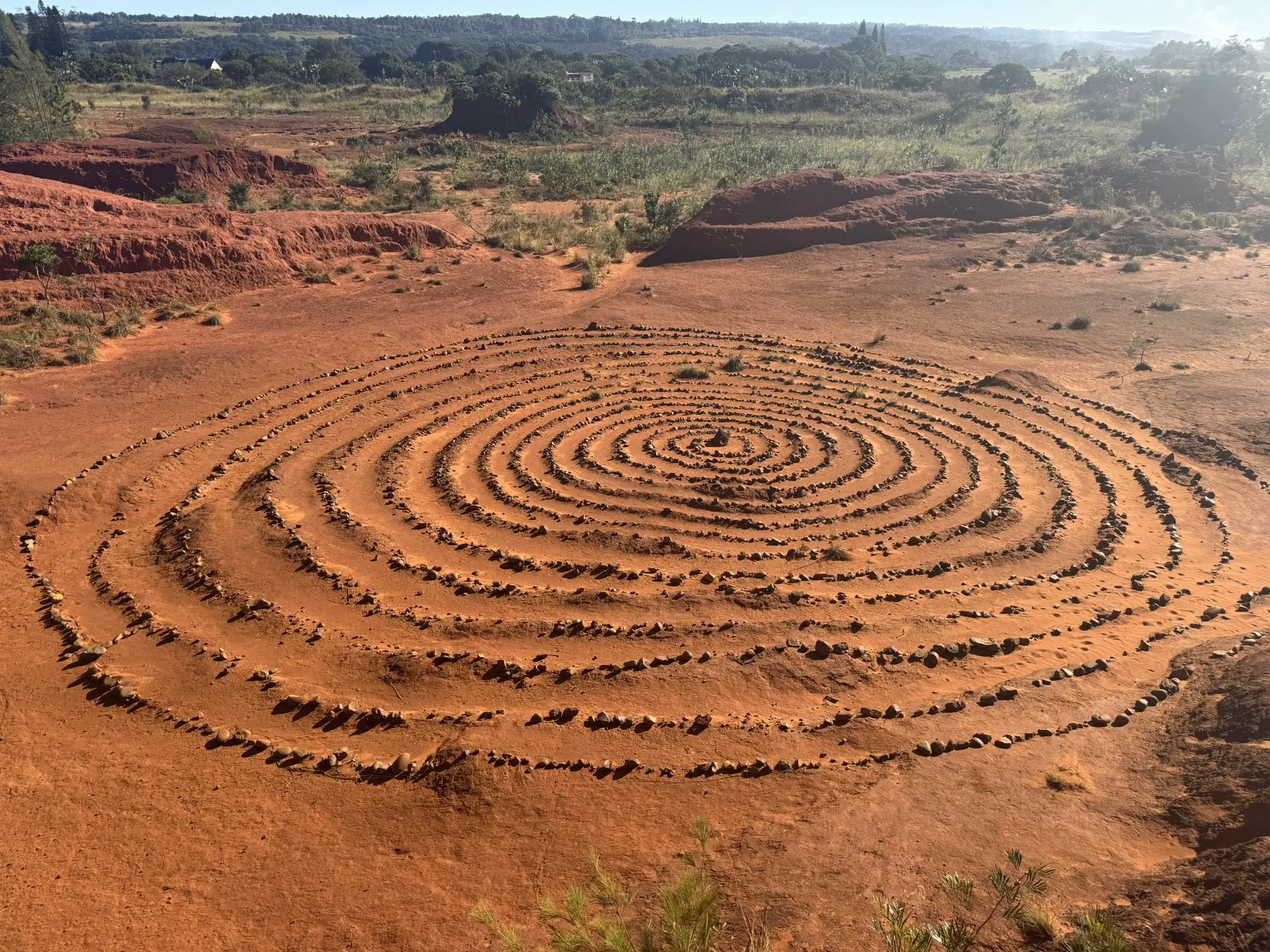Red Desert 2